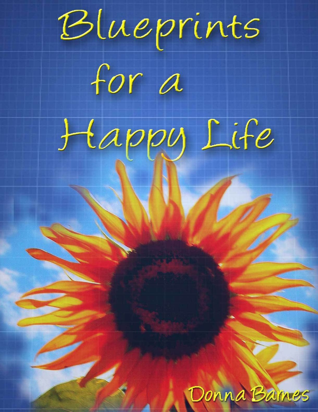 Blueprints for a Happy Life