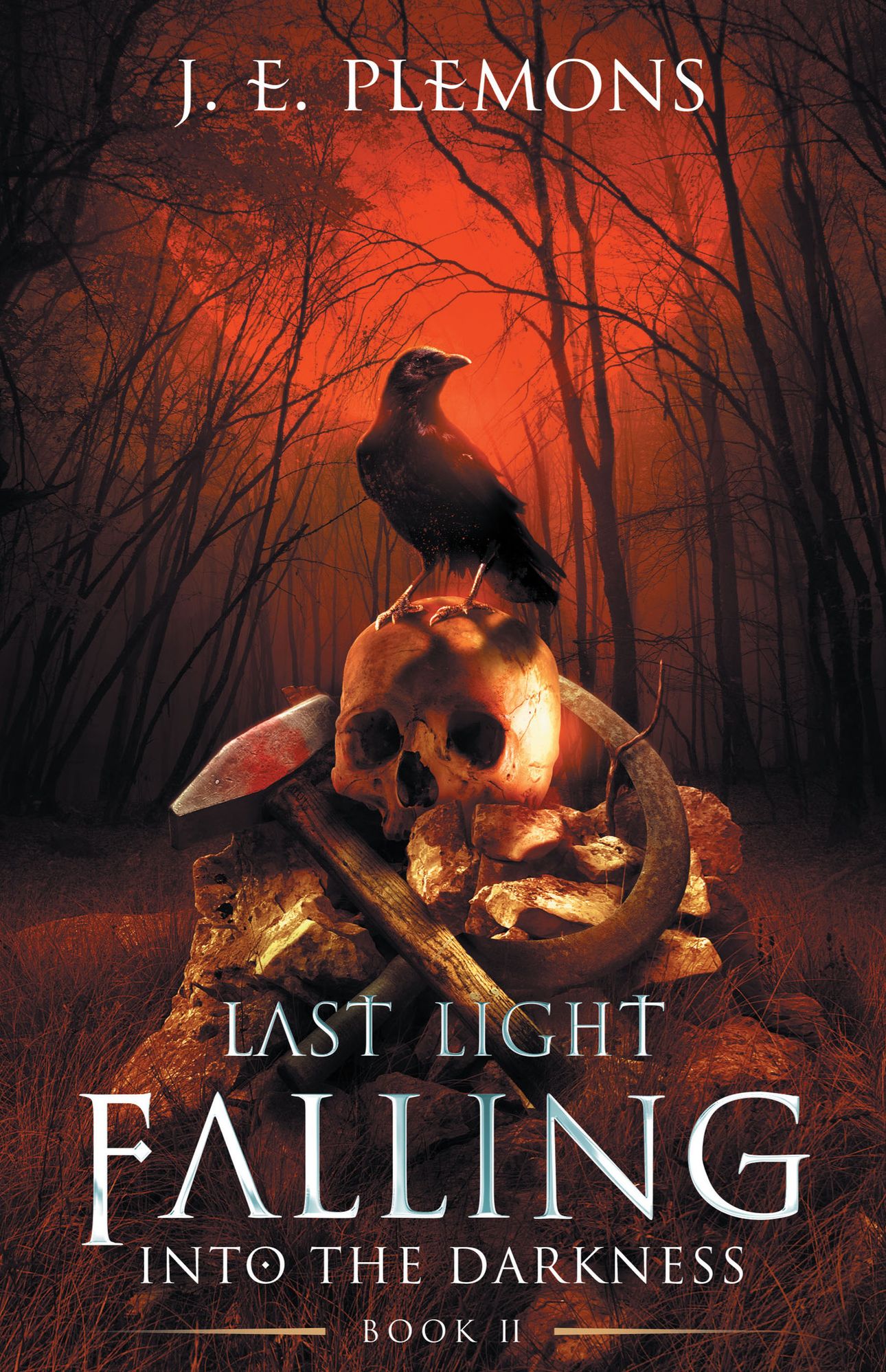 Last Light Falling: Into The Darkness: Book II