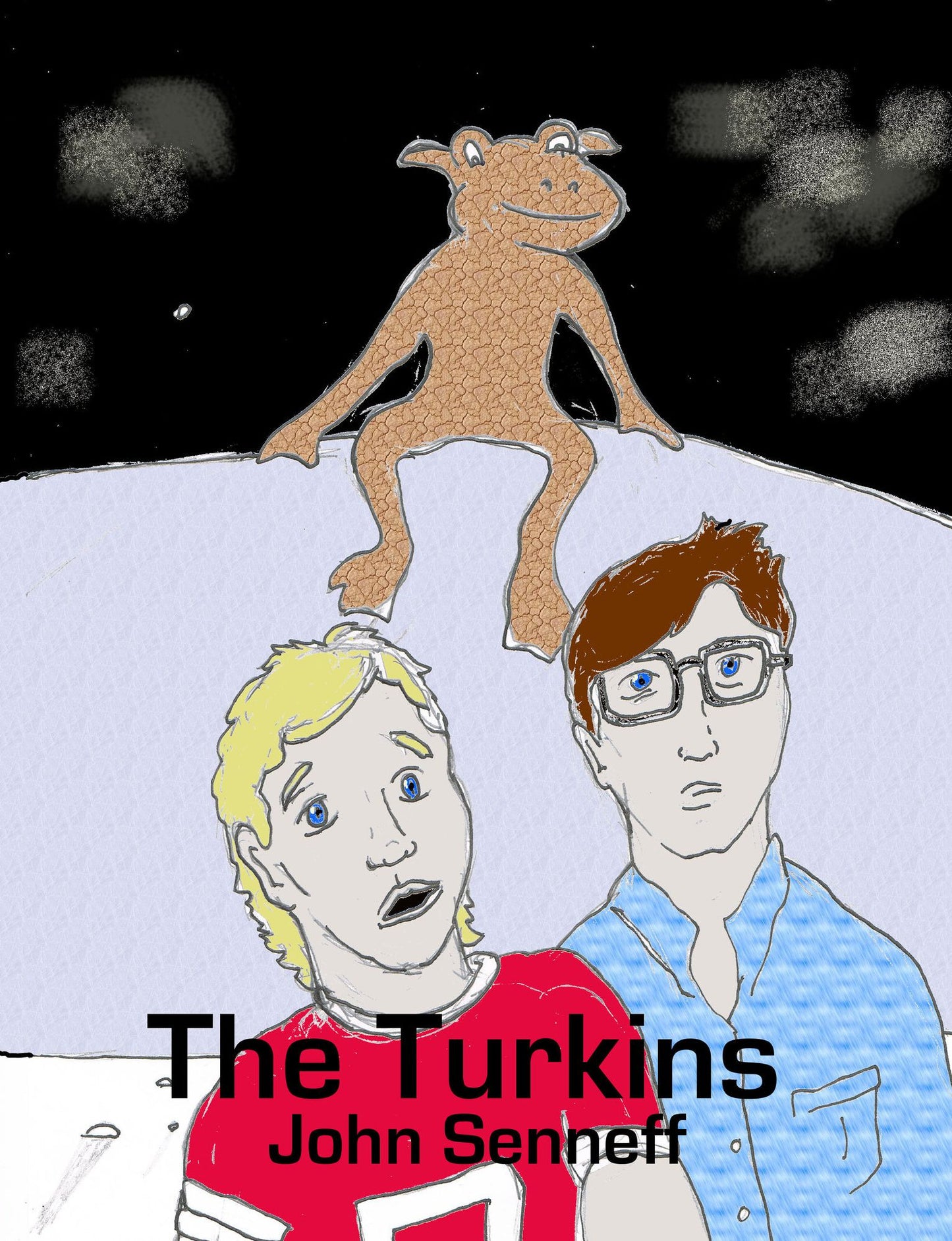 The Turkins