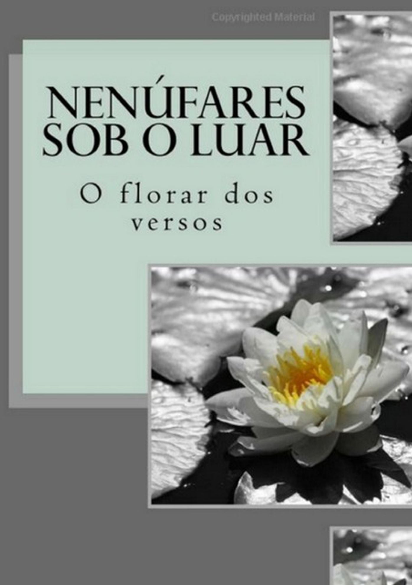 Nenufares Sob O Luar