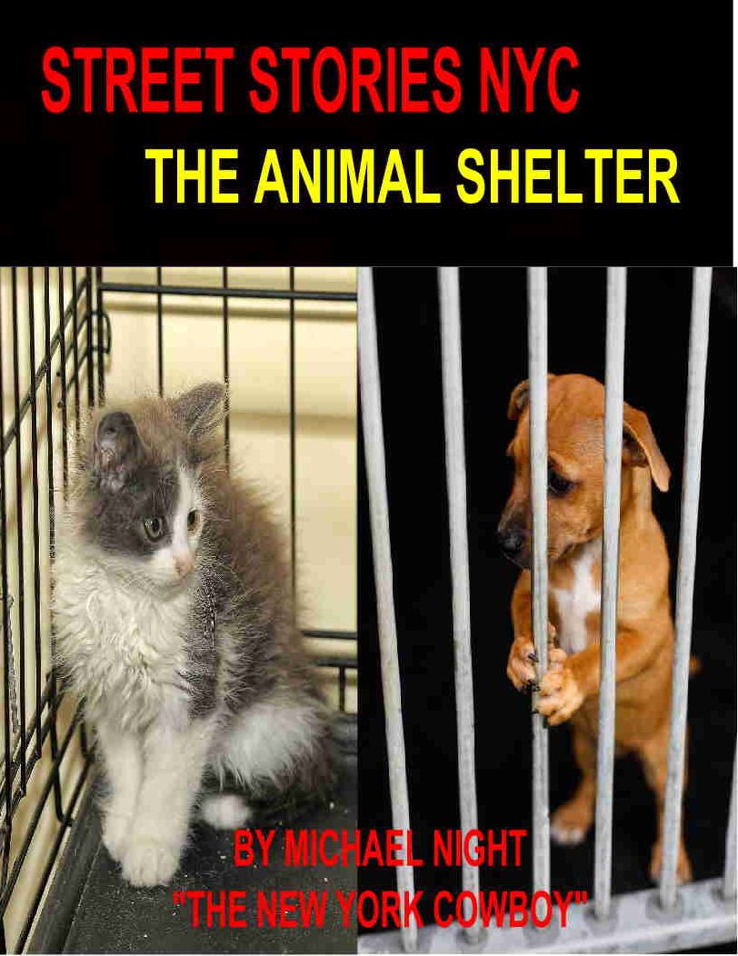 Street Stories NYC The Animal Shelter