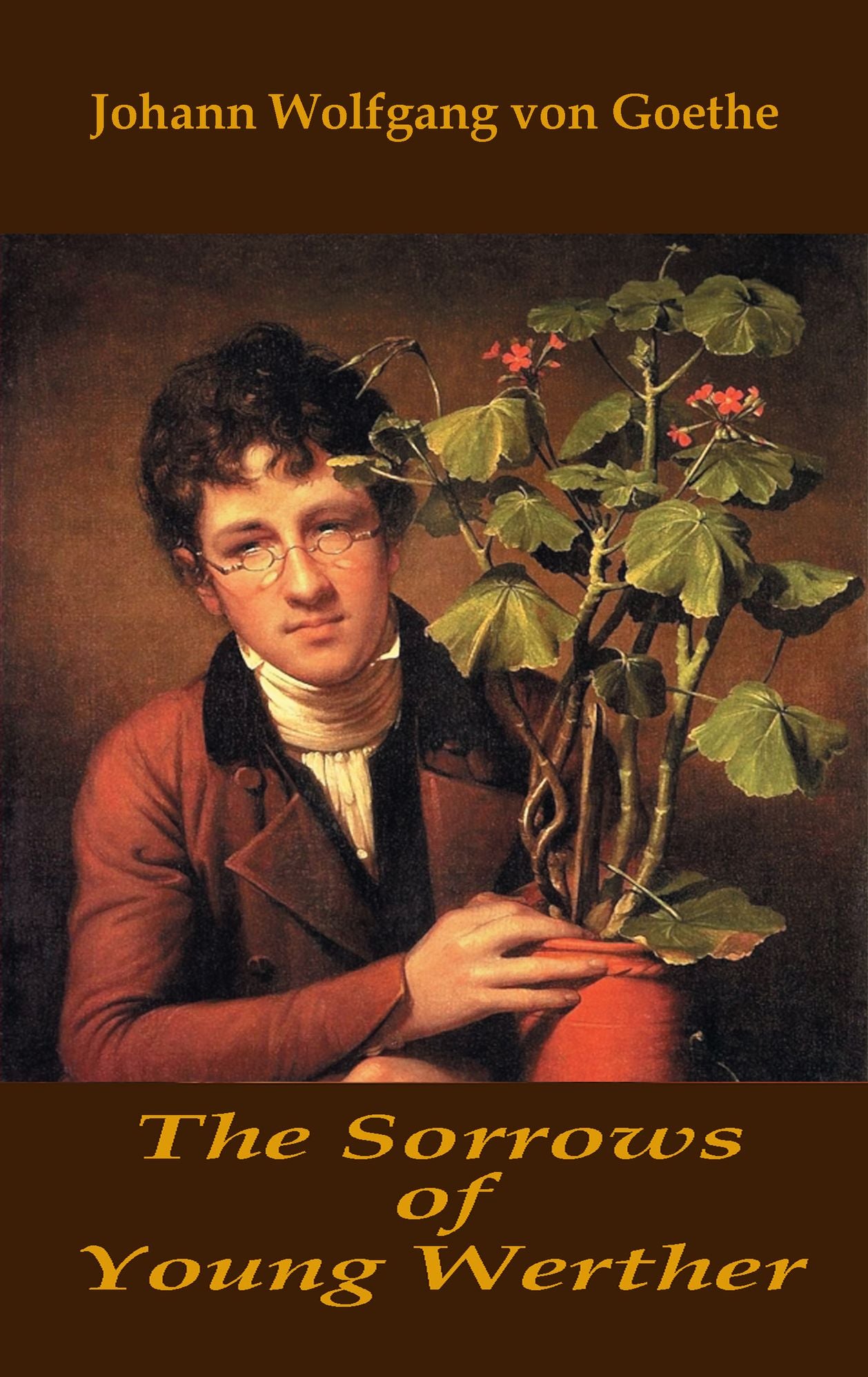 The Sorrows of Young Werther (illustrated)