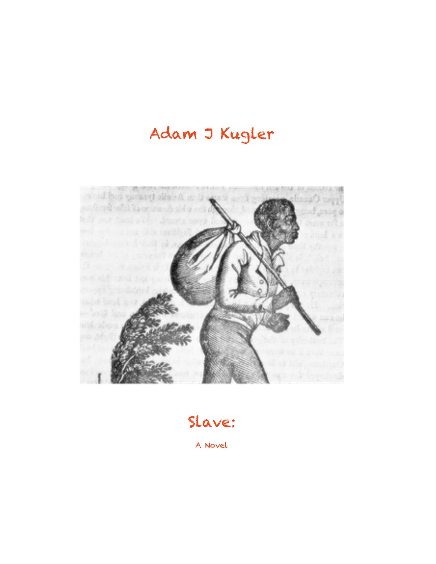 Slave: A Novel