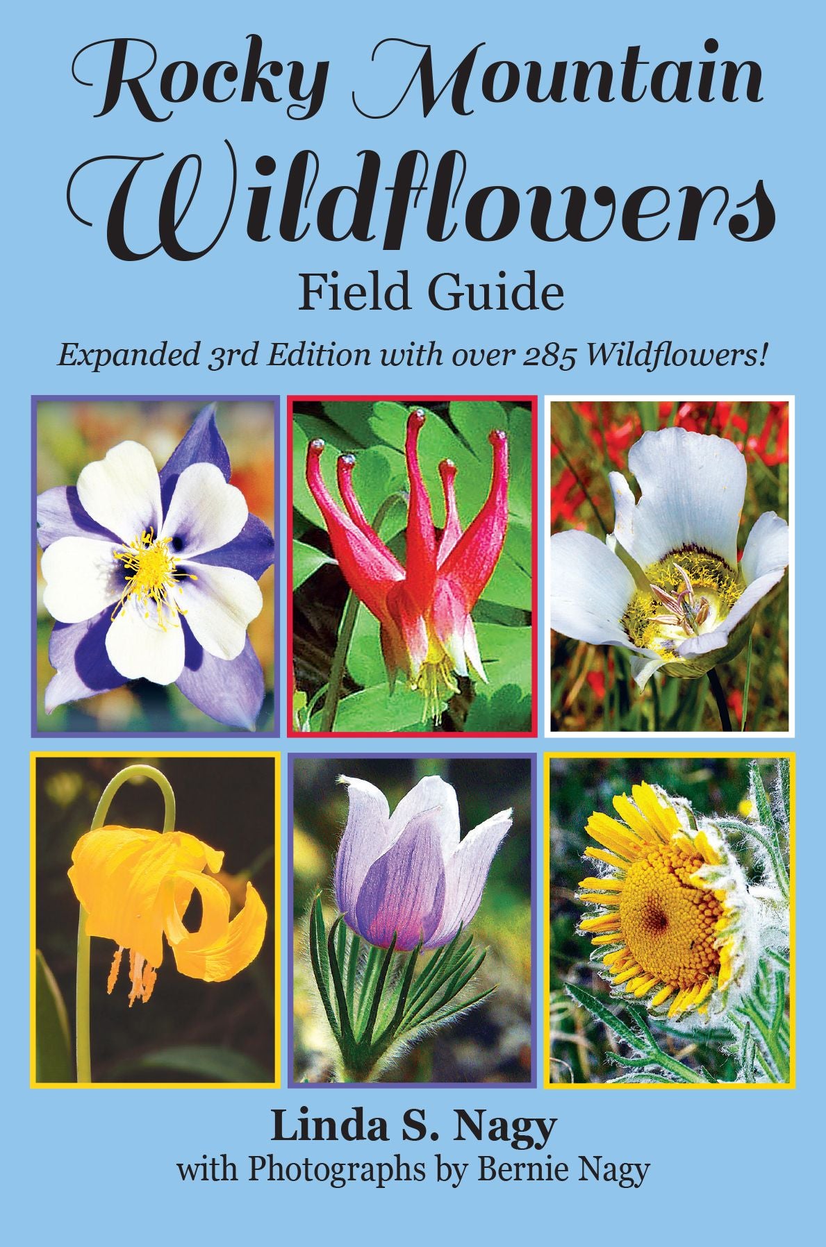 Rocky Mountain Wildflowers Field Guide