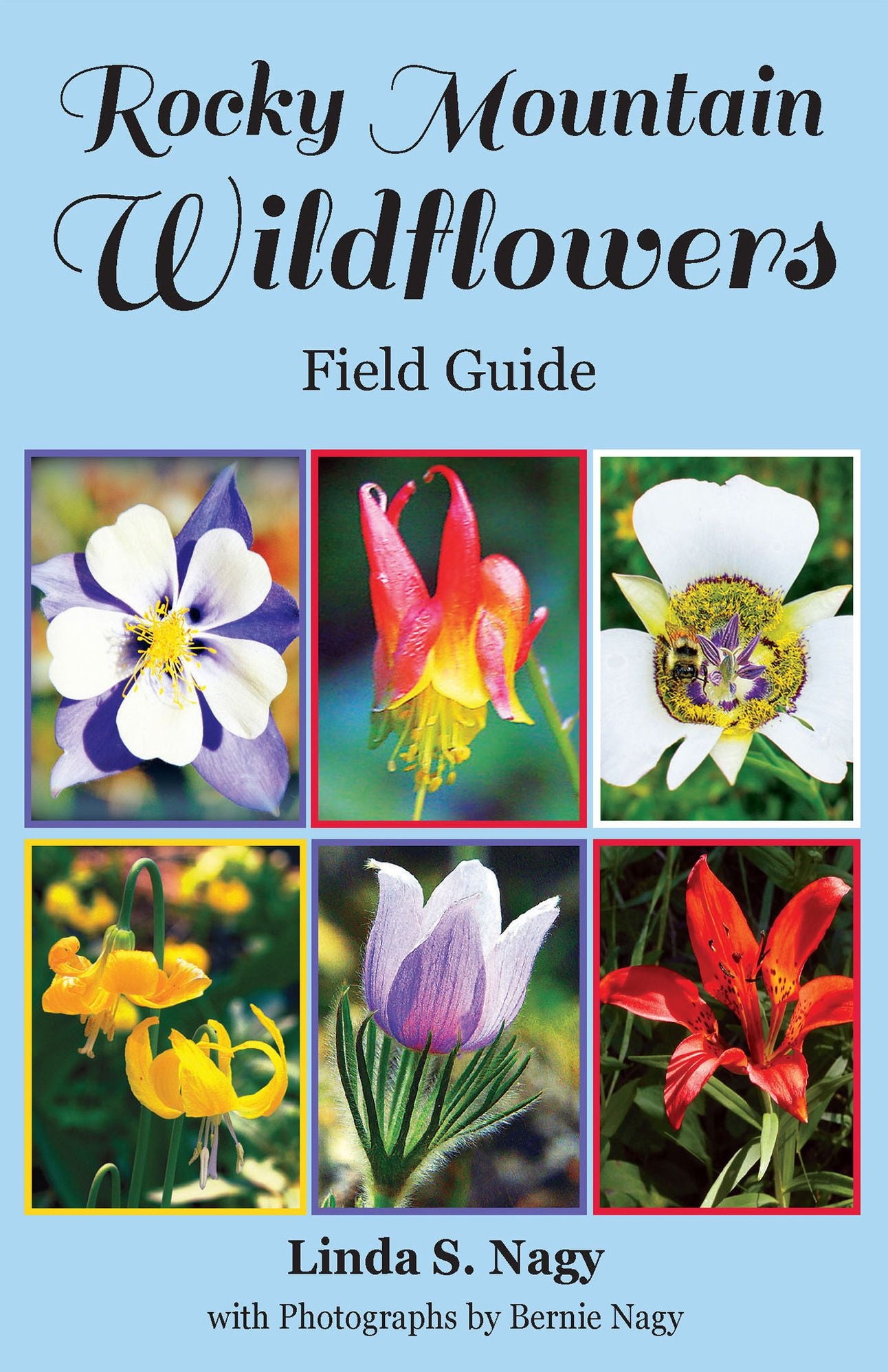 Rocky Mountain Wildflowers Field Guide