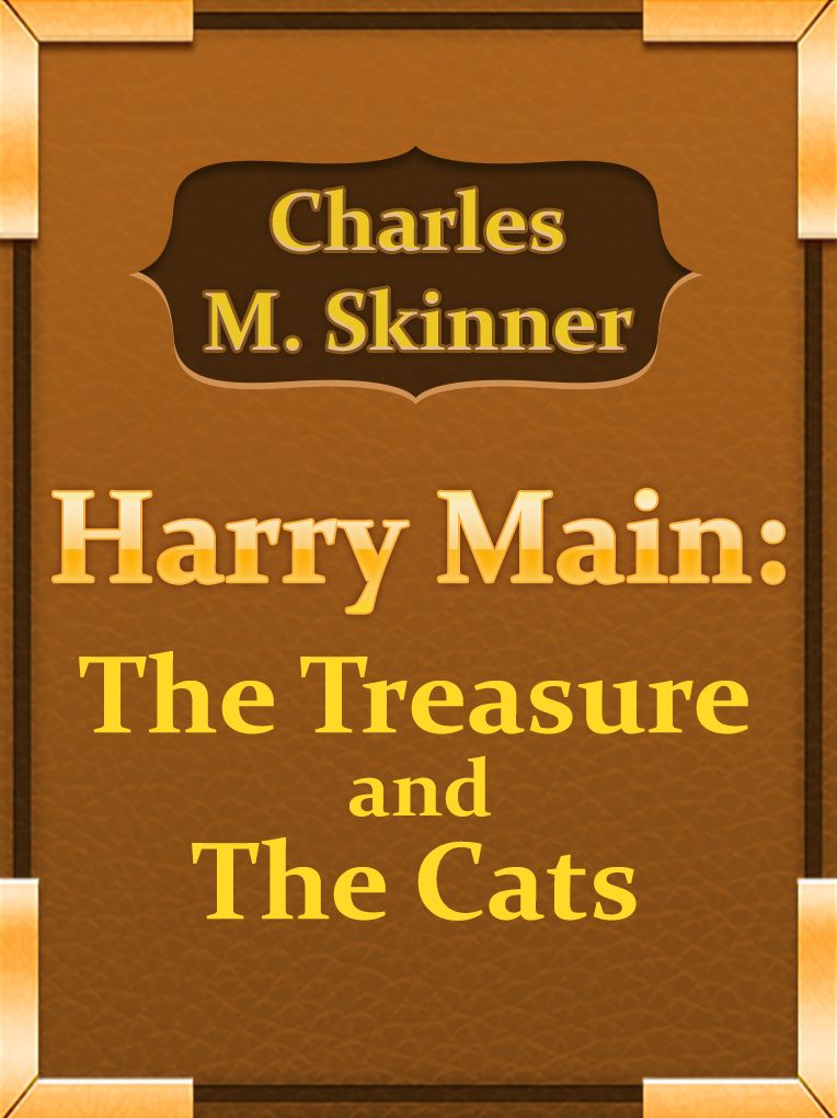 The Treasure And The Cats