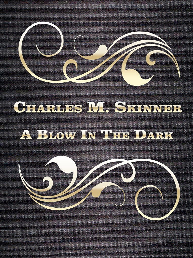 A Blow In The Dark