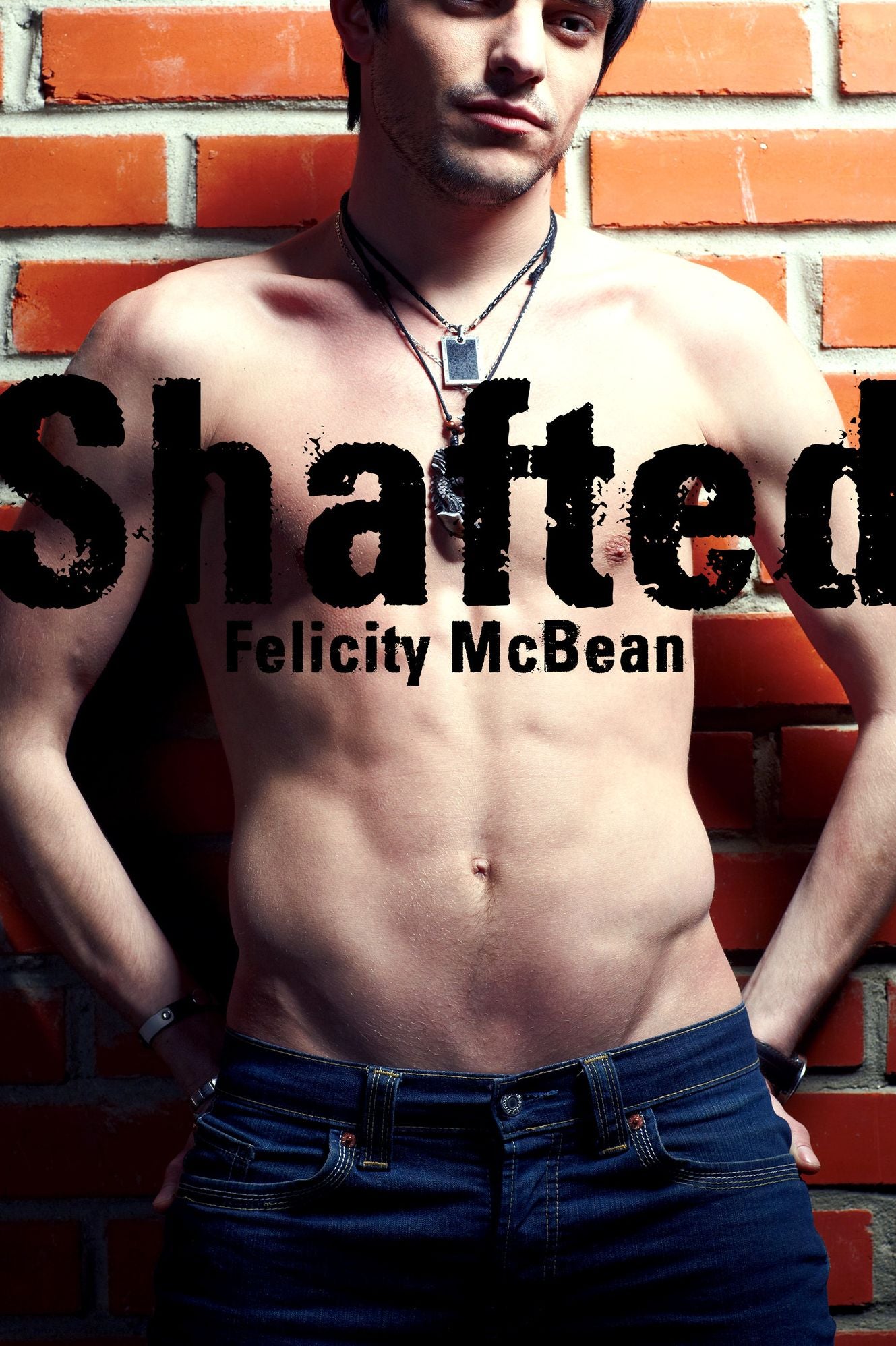 Shafted (Gay Stranger Erotica)