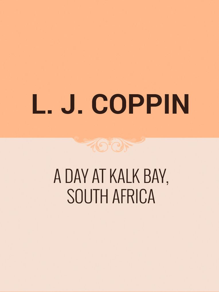 A Day at Kalk Bay, South Africa