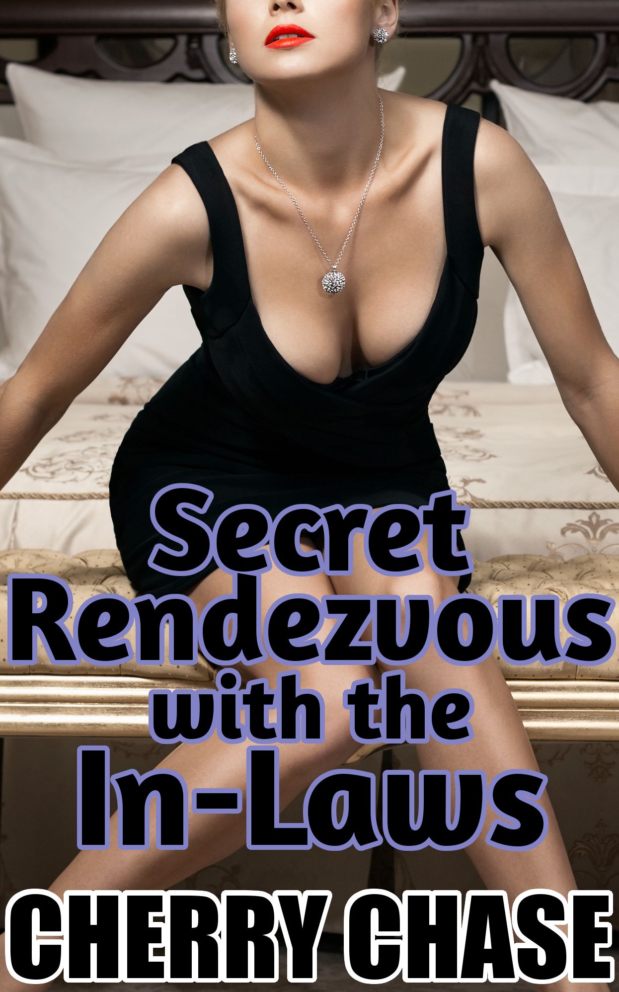Secret Rendezvous with the In-Laws