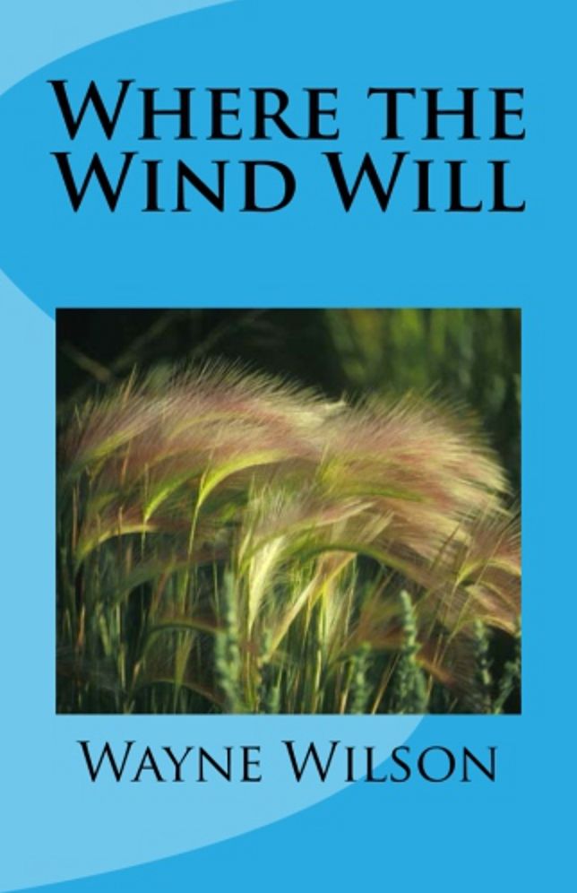 Where the Wind Will
