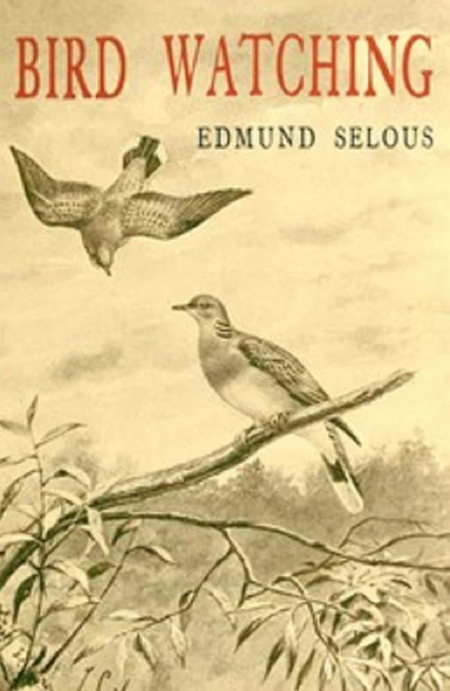 Bird Watching (Illustrated)