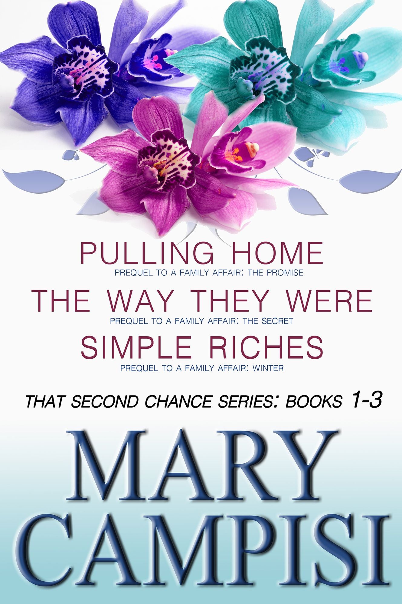 That Second Chance Boxed Set 1-3