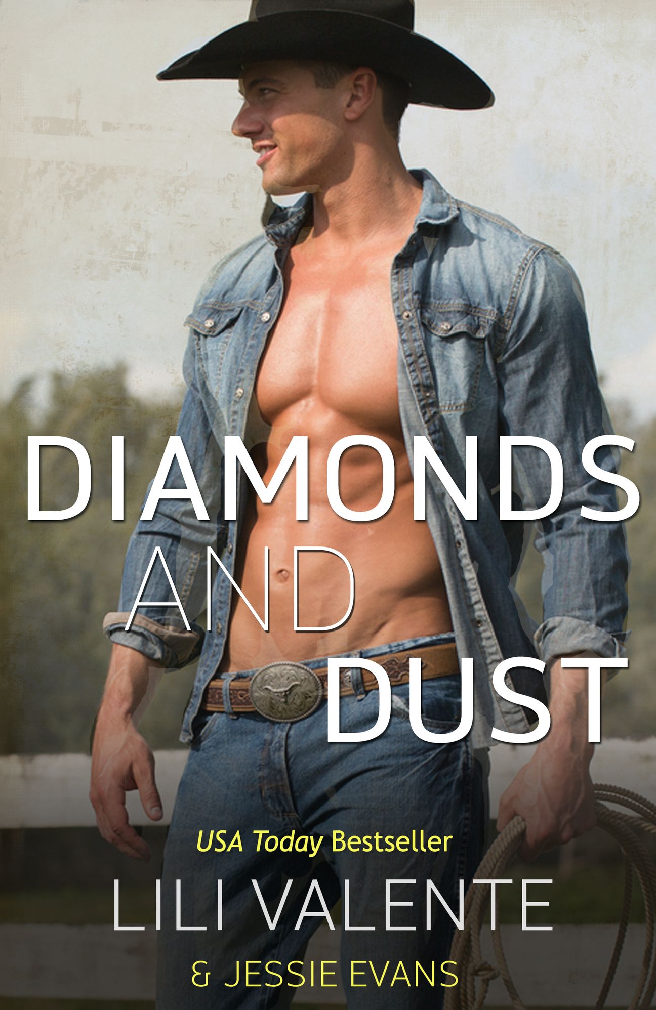 Diamonds and Dust