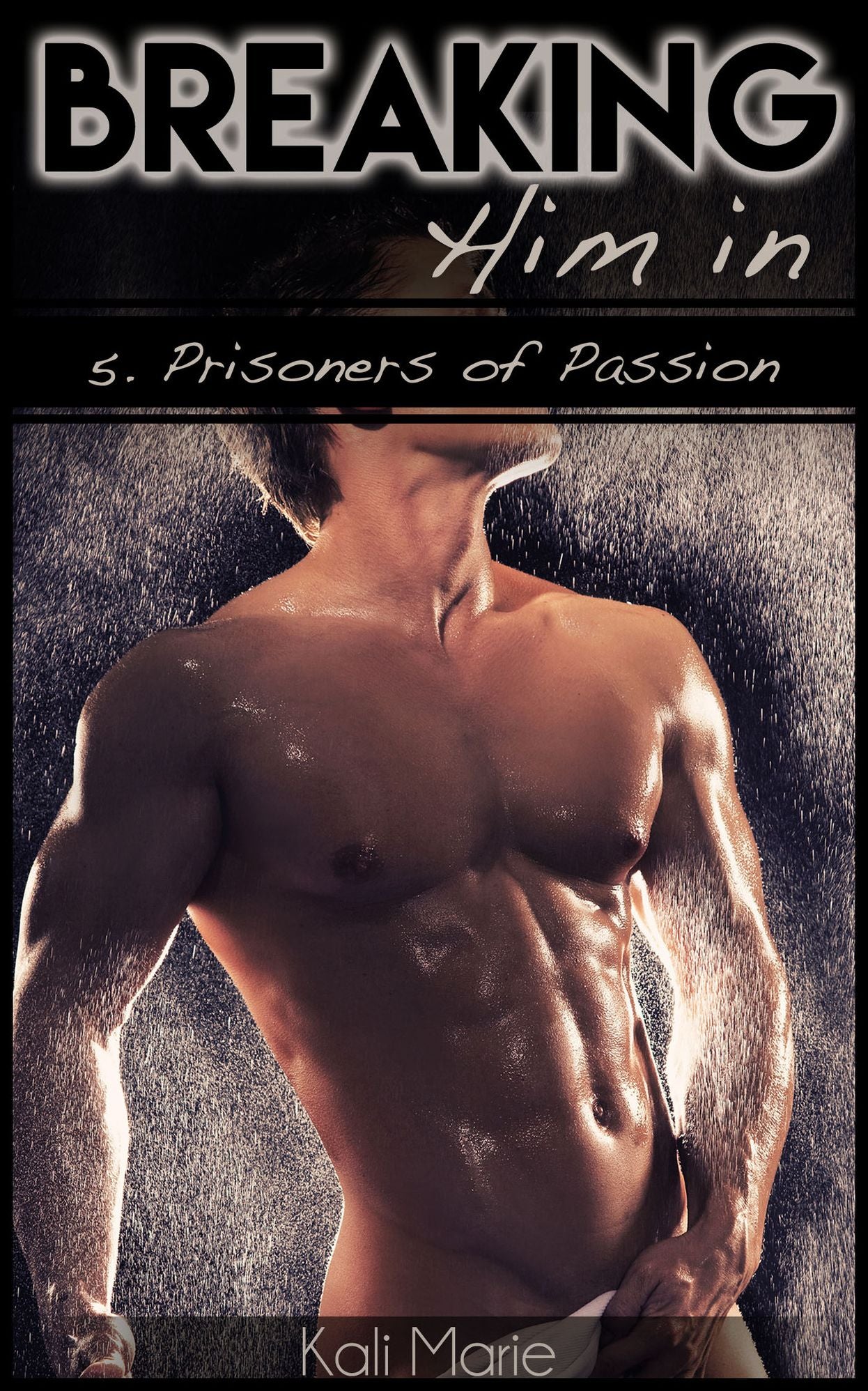 MMM EROTICA: Breaking Him In 5. Prisoners of Passion (Gay BDSM Menage)