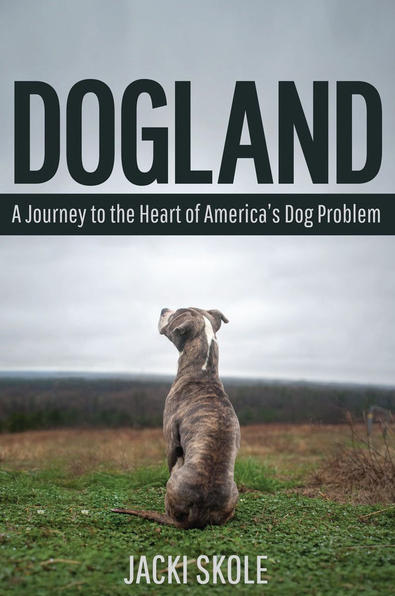 Dogland: A Journey to the Heart of America's Dog Problem
