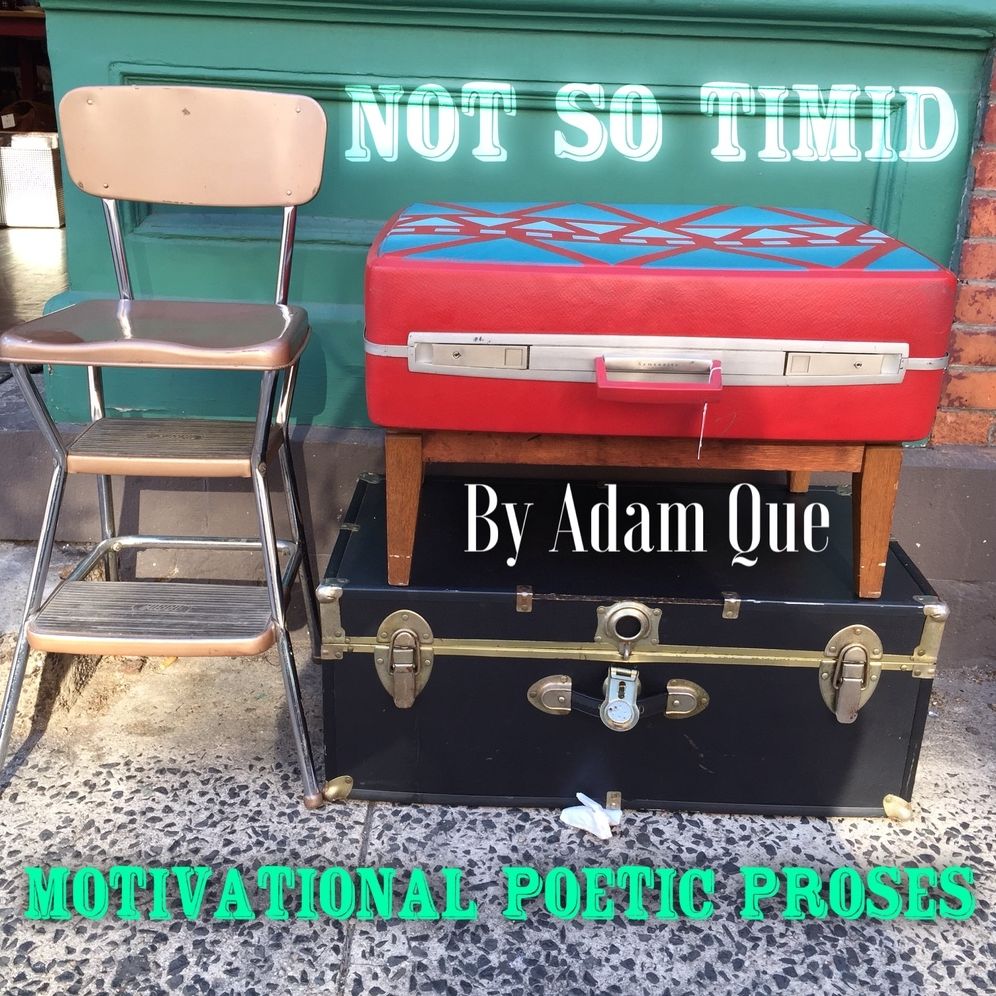 Not So Timid: Motivational Poetic Proses