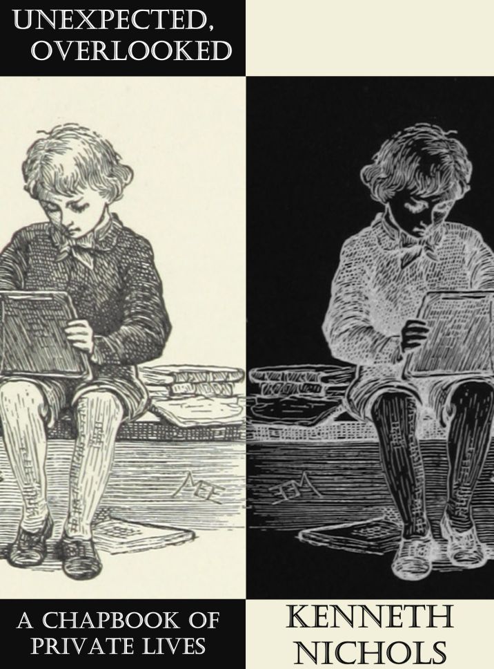 Unexpected, Overlooked: A Chapbook of Private Lives