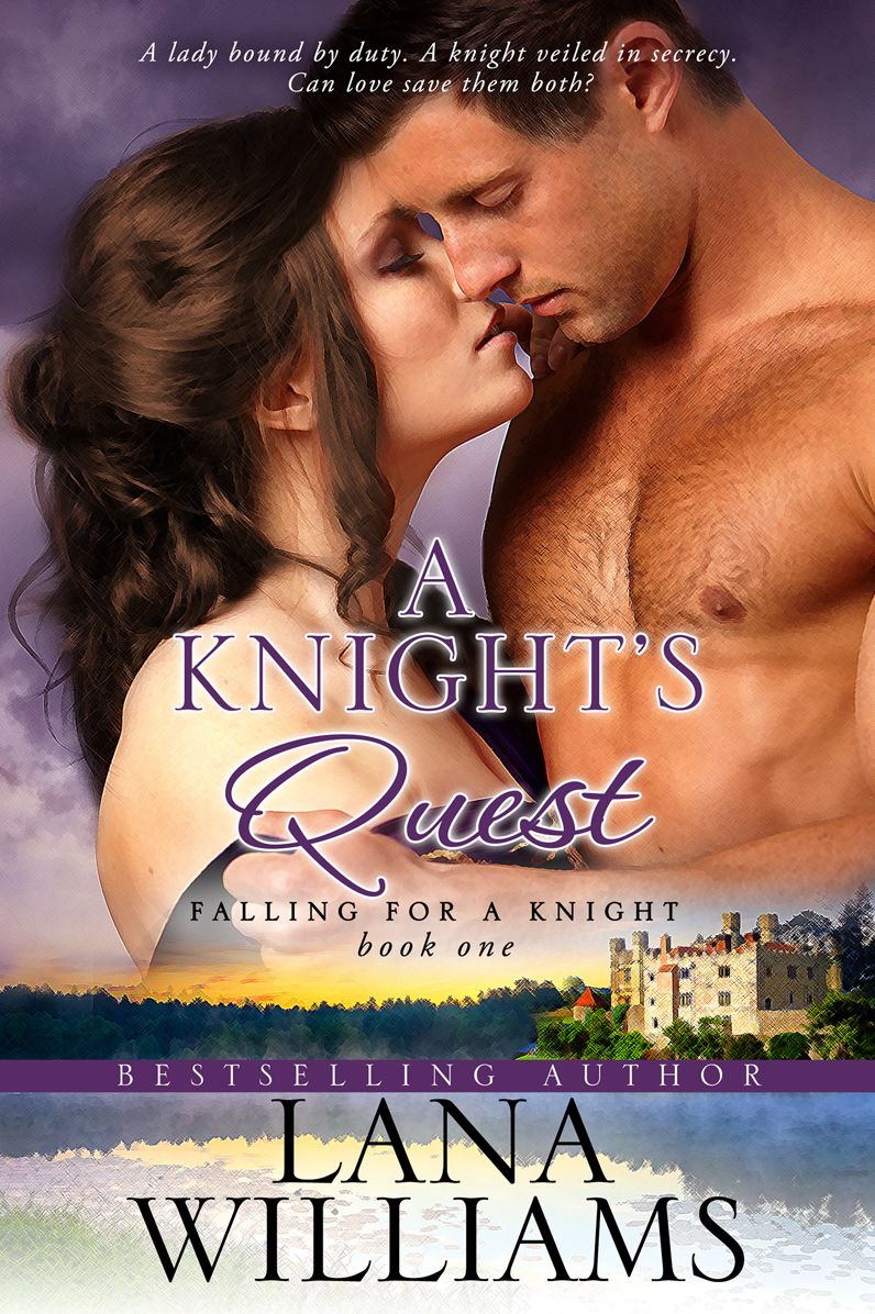 A Knight's Quest