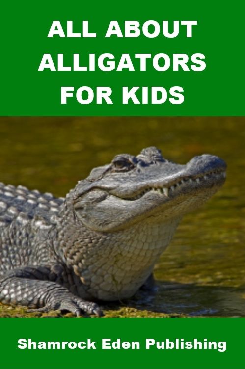 All about Alligators for Kids