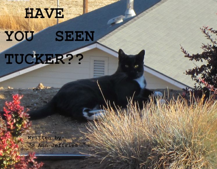 Have You Seen Tucker Jo Ann Jeffries