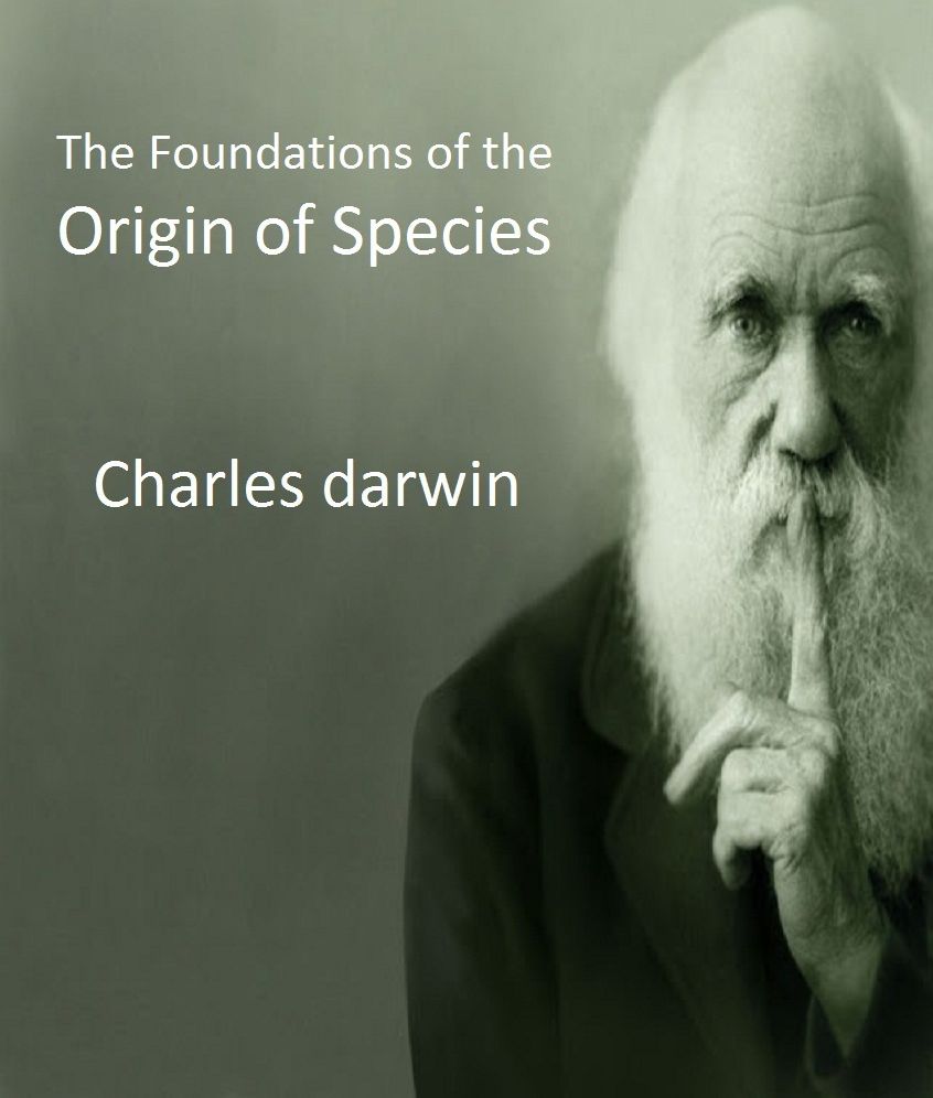 The Foundations of the Origin of Species