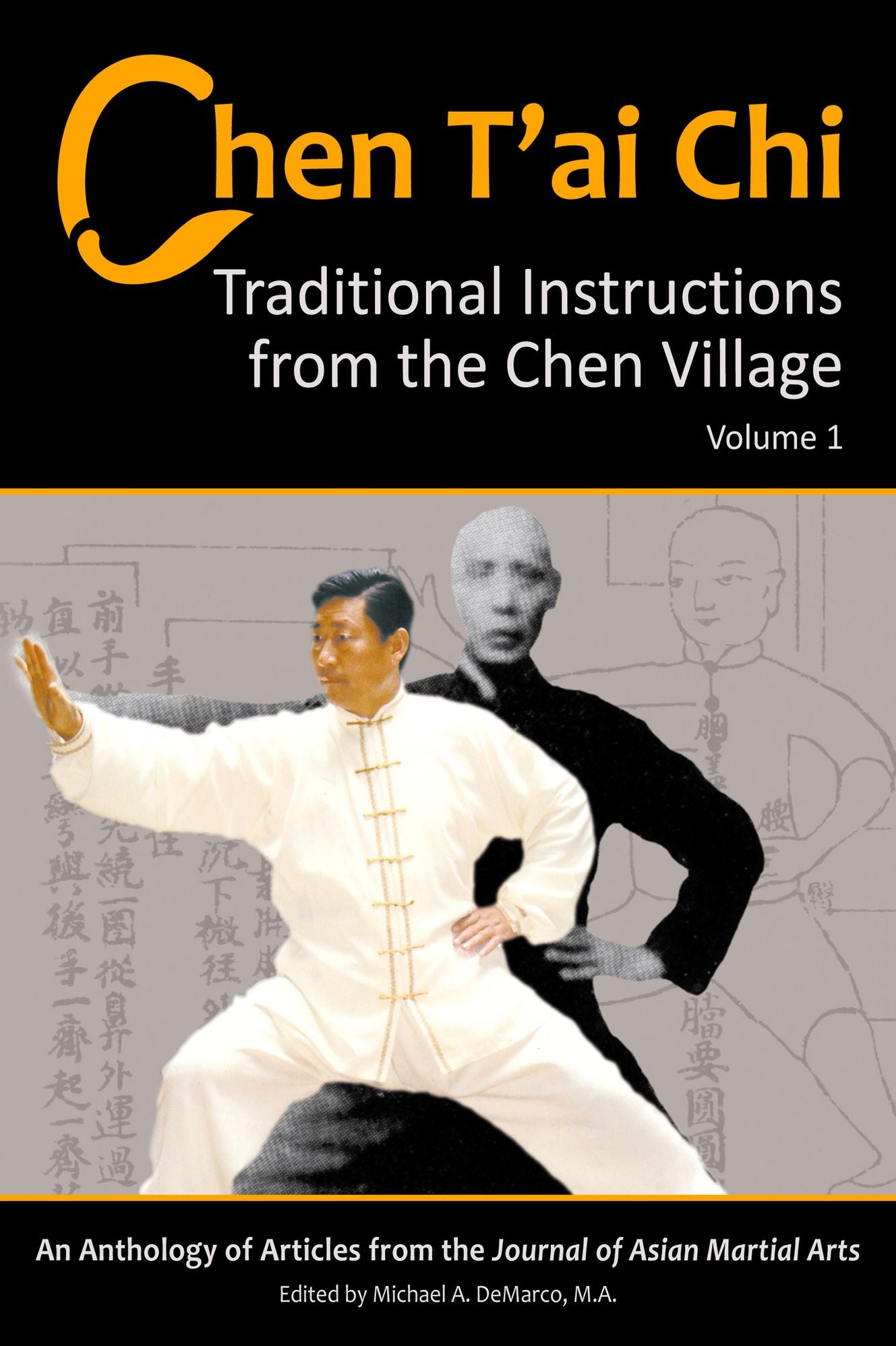 Chen Tai Chi: Traditional Instructions from the Chen Village, Vol. 1