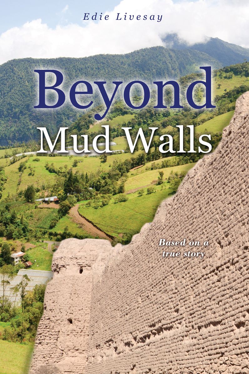 Beyond Mud Walls
