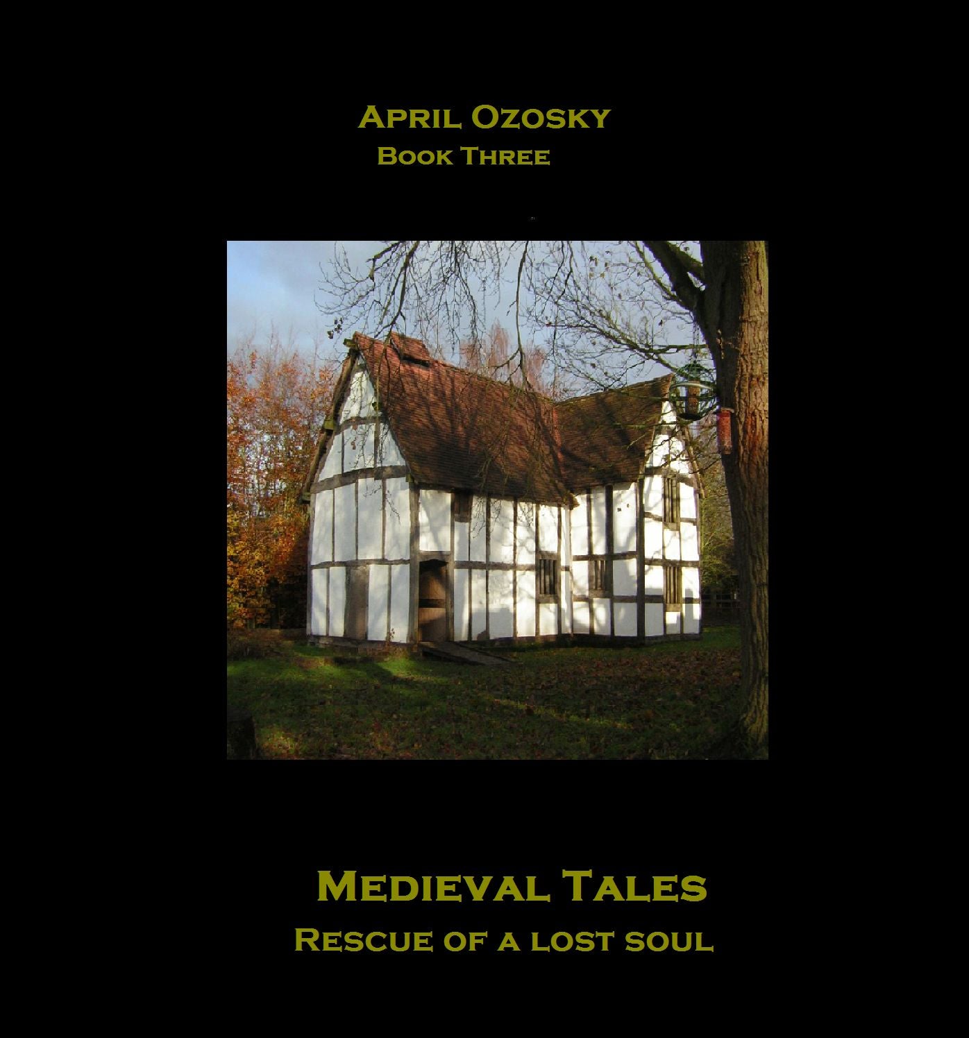 Medieval Tales Book Three Rescue of a Lost Soul