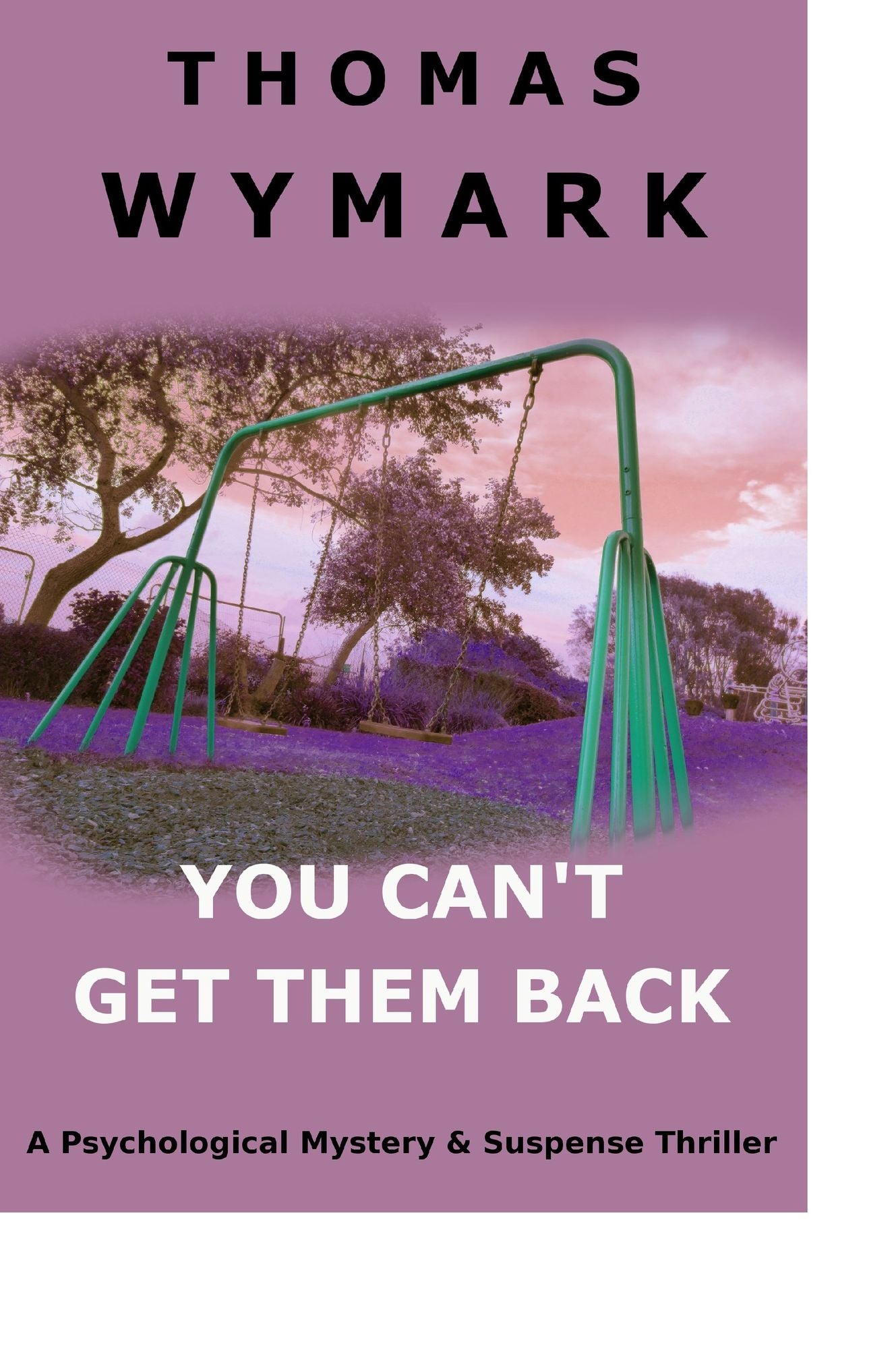 You Can't Get Them Back (a Psychological Mystery & Suspense Thriller)