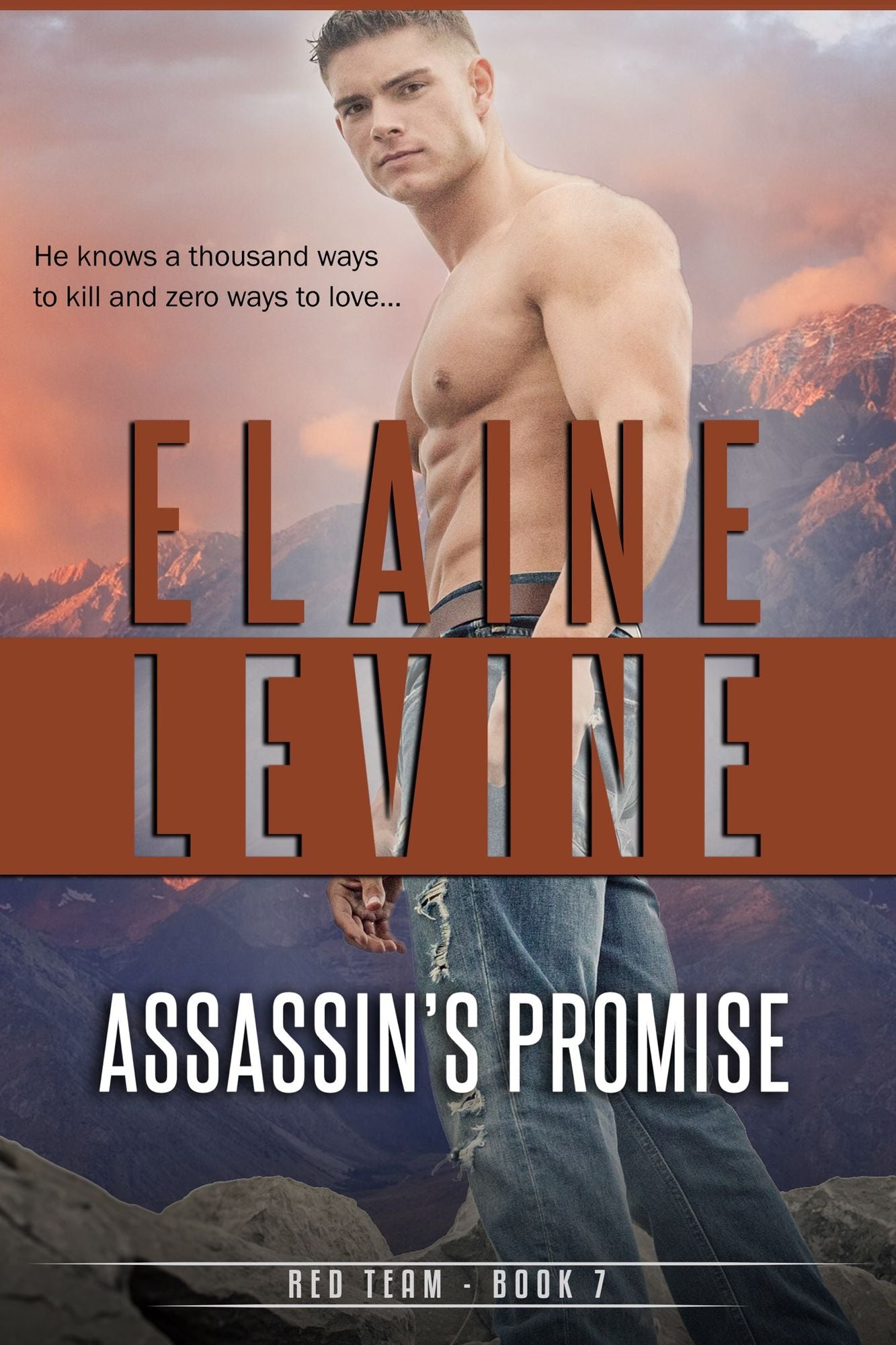 Assassin's Promise