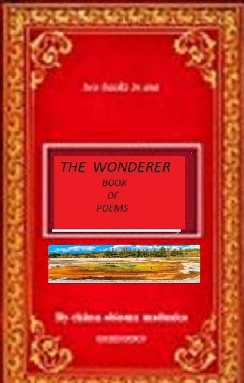 the wonderer