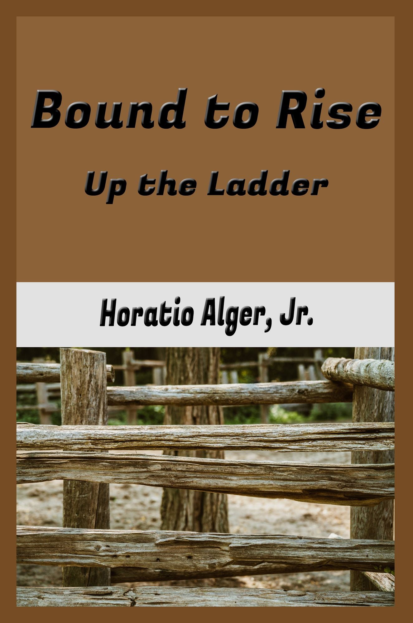Bound to Rise or, Up the Ladder (Illustrated)