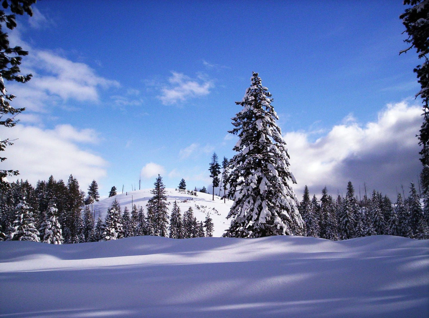 I Saw The Snow: Outing
