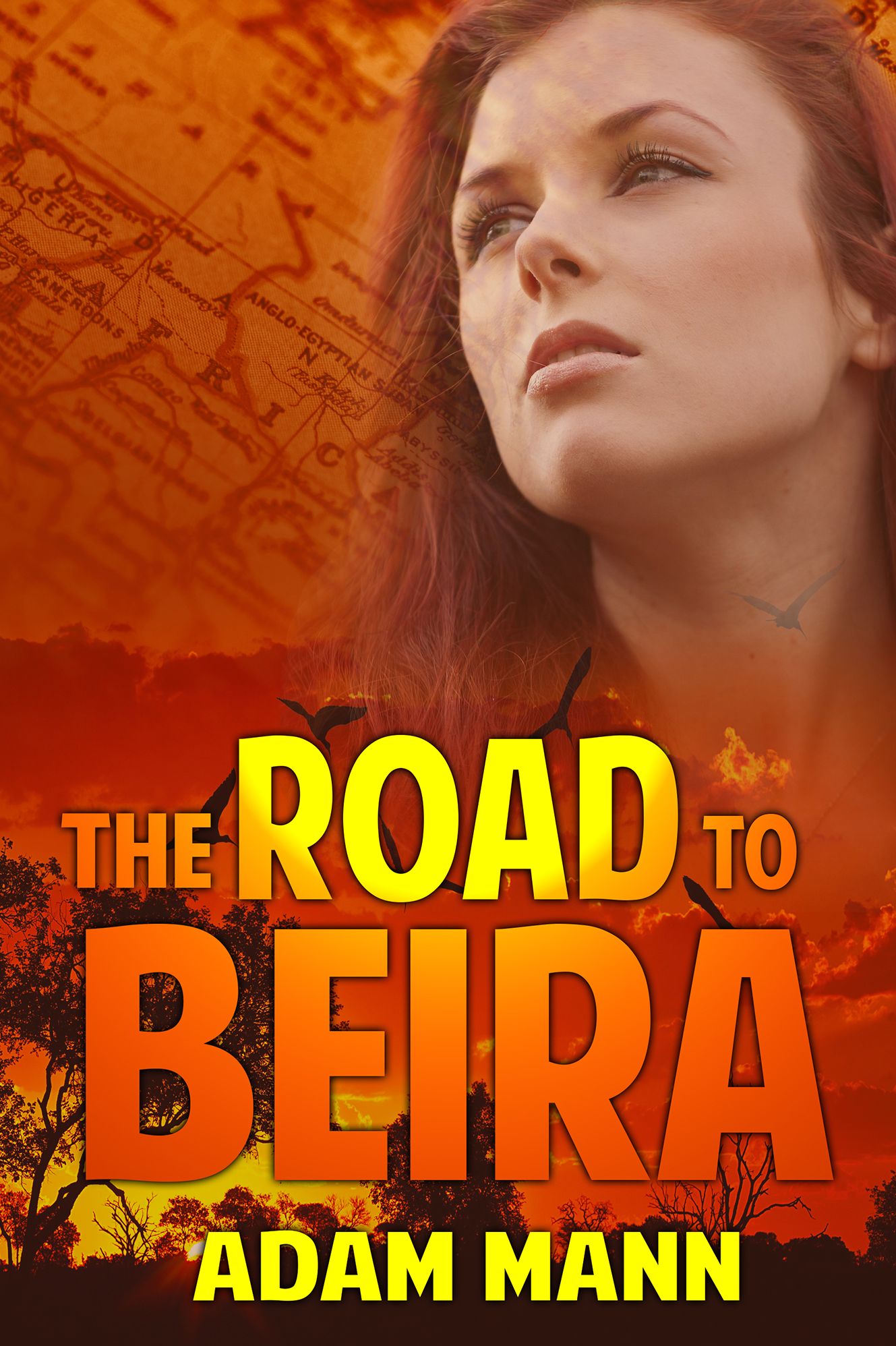 The Road To Beira