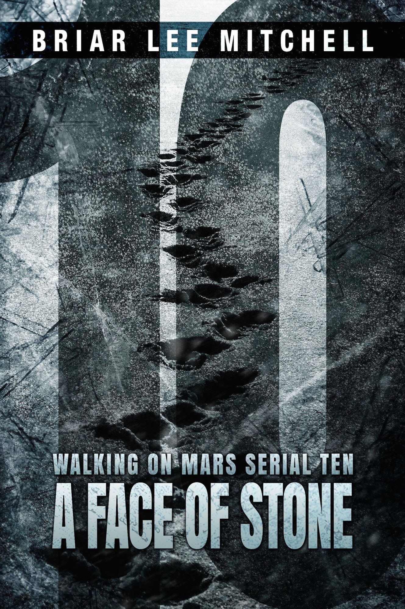 A Face of Stone: From the Journals of Samantha Bloodworth (Walking on Mars Serial 10)