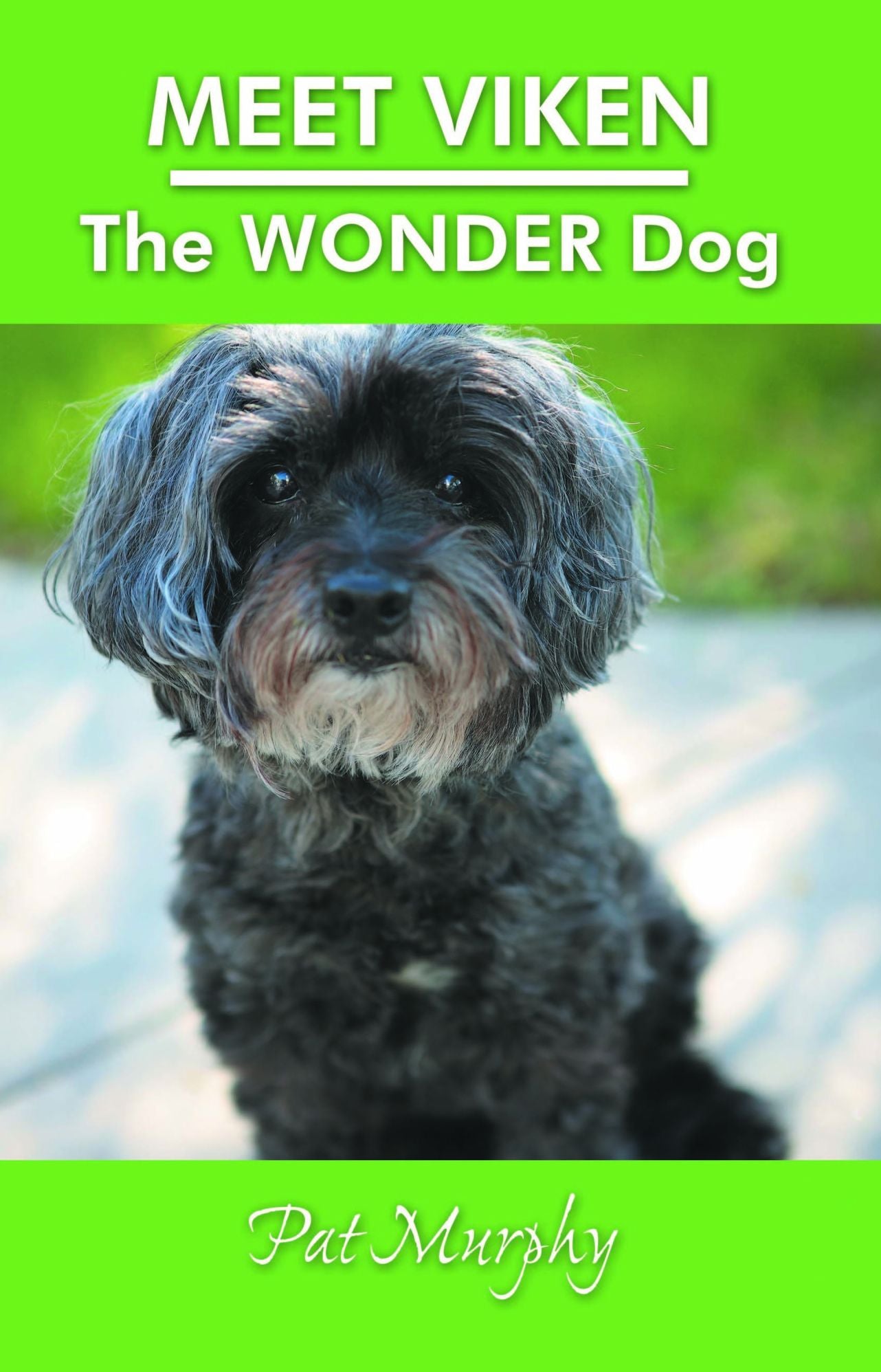 Meet Viken- The Wonder Dog