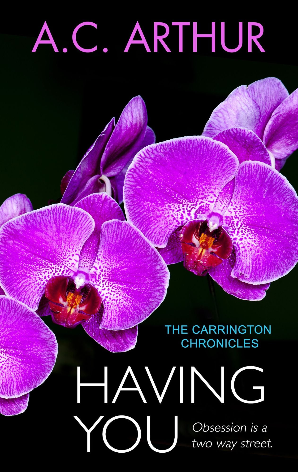Having You