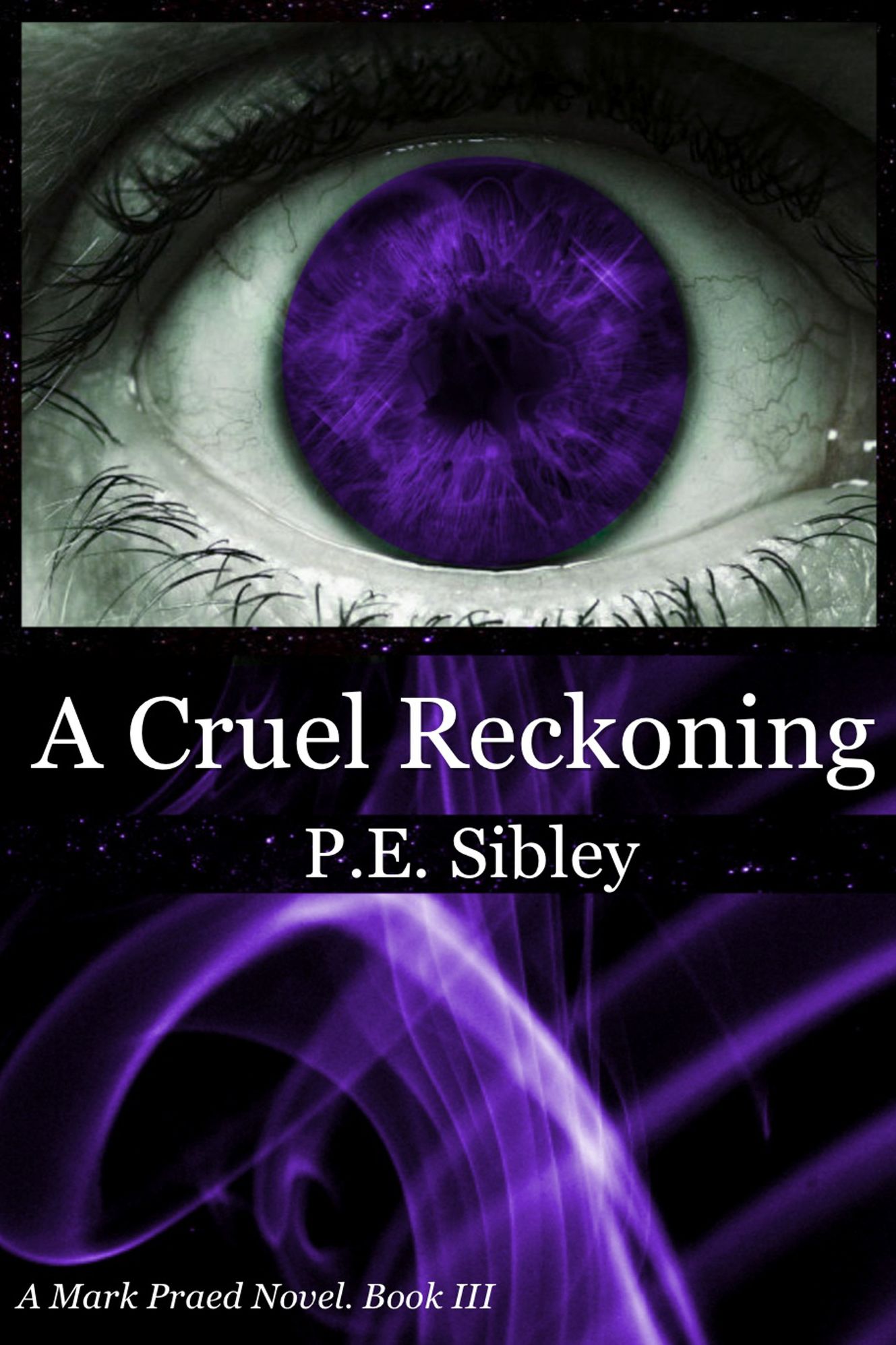 A Cruel Reckoning, A Mark Praed Novel Book 3