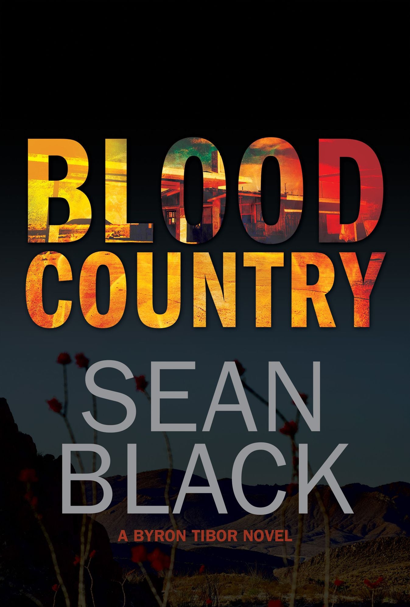 Blood Country: The Second Byron Tibor Novel