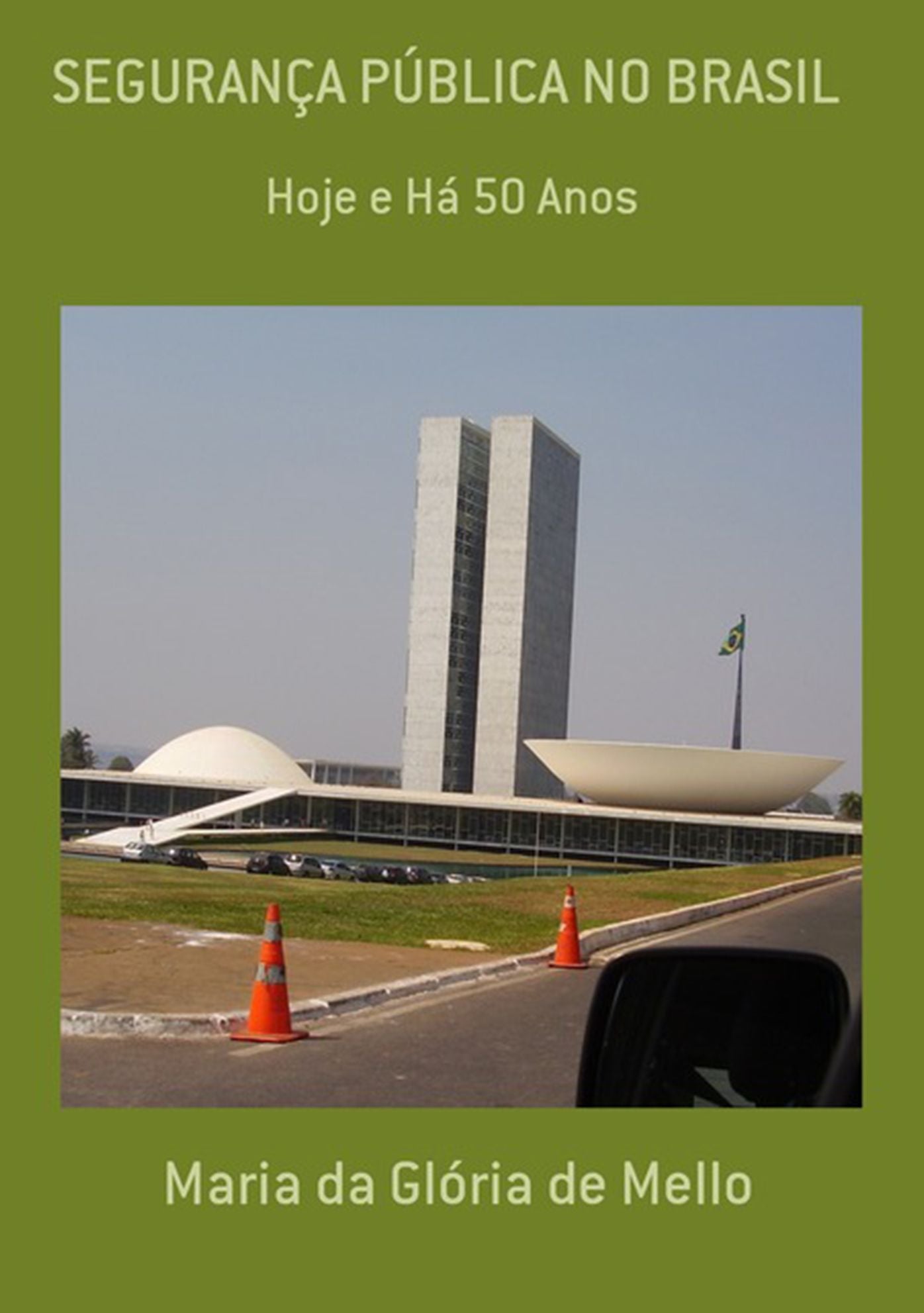 SeguranCa PUblica No Brasil