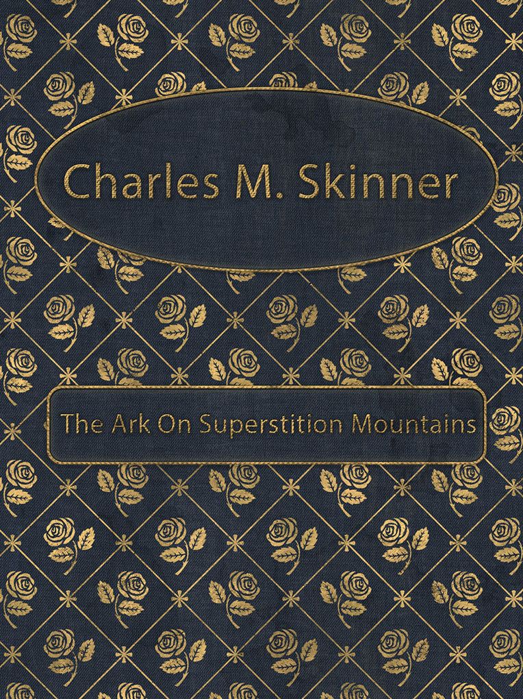 The Ark On Superstition Mountains