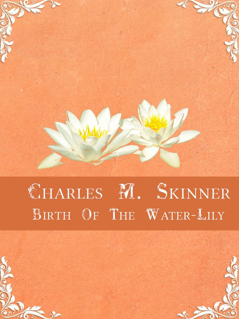 Birth Of The Water Lily