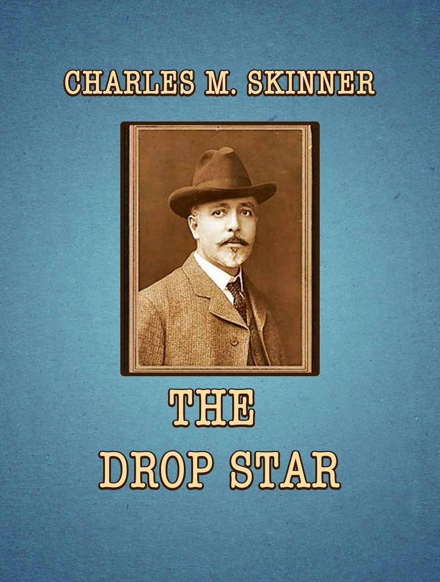 The Drop Star