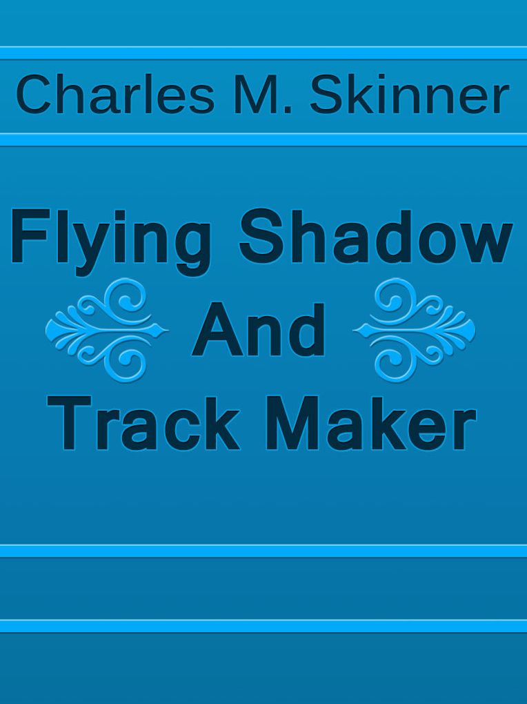Flying Shadow And Track Maker