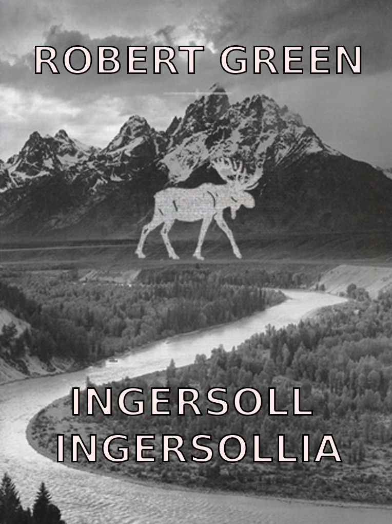 Ingersollia