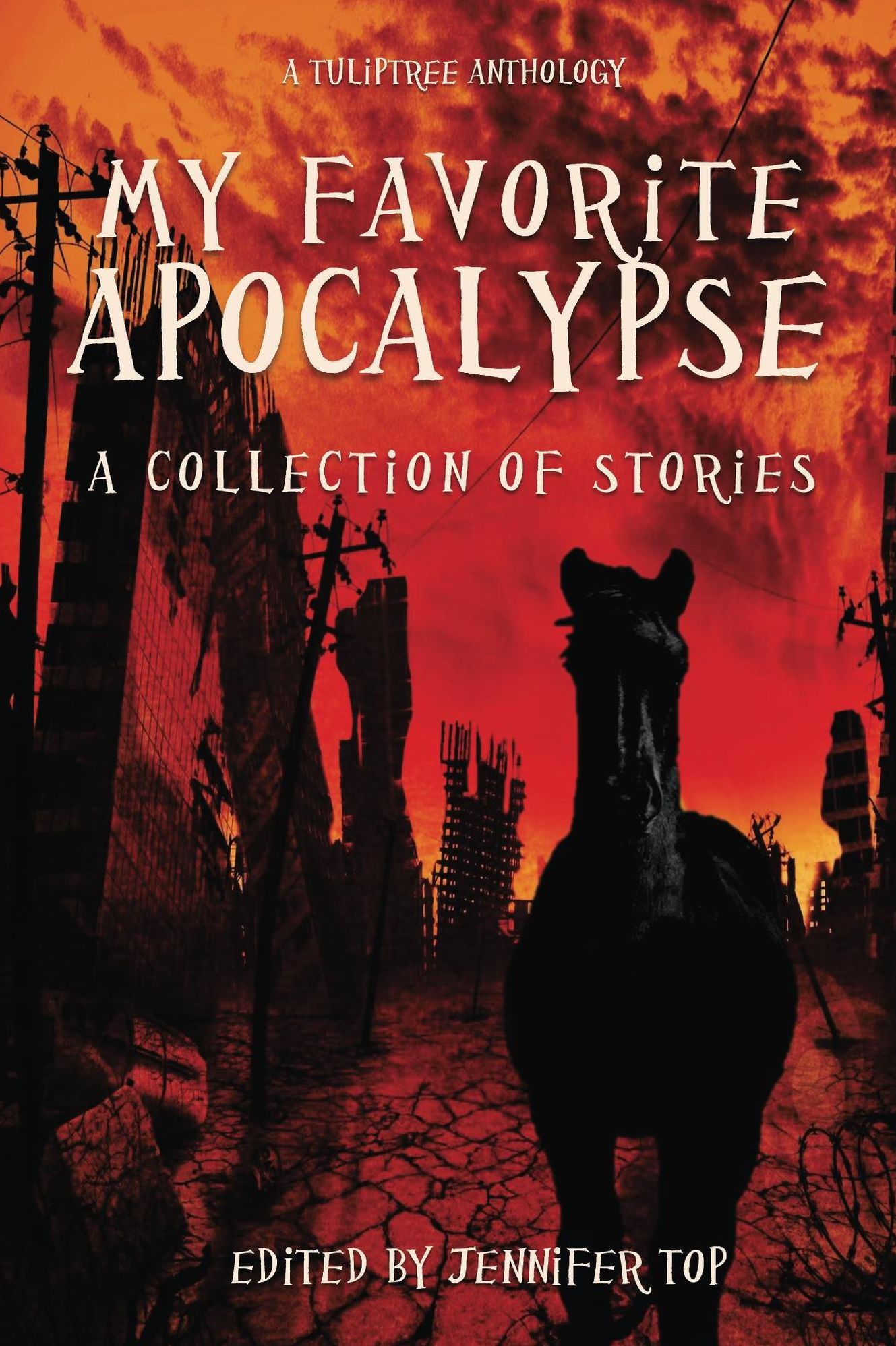 My Favorite Apocalypse: A Collection of Stories