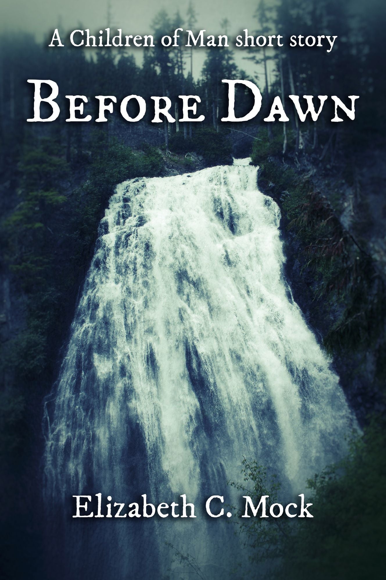 Before Dawn