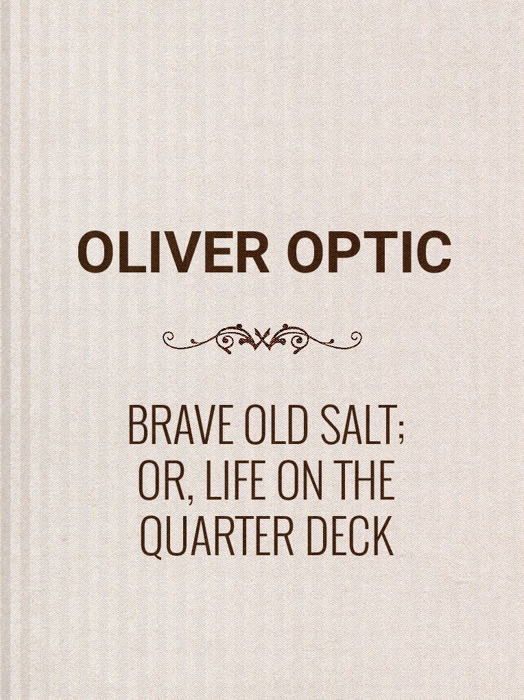 Brave Old Salt; or, Life on the Quarter Deck: A Story of the Great Rebellion