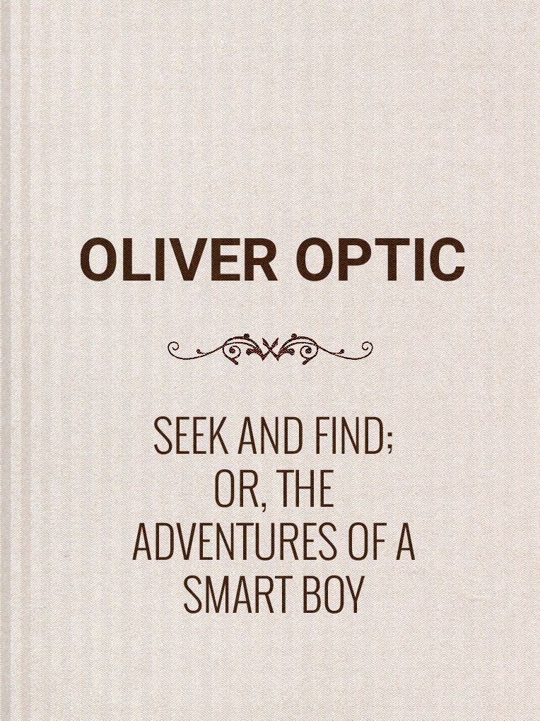 Seek and Find; or, The Adventures of a Smart Boy